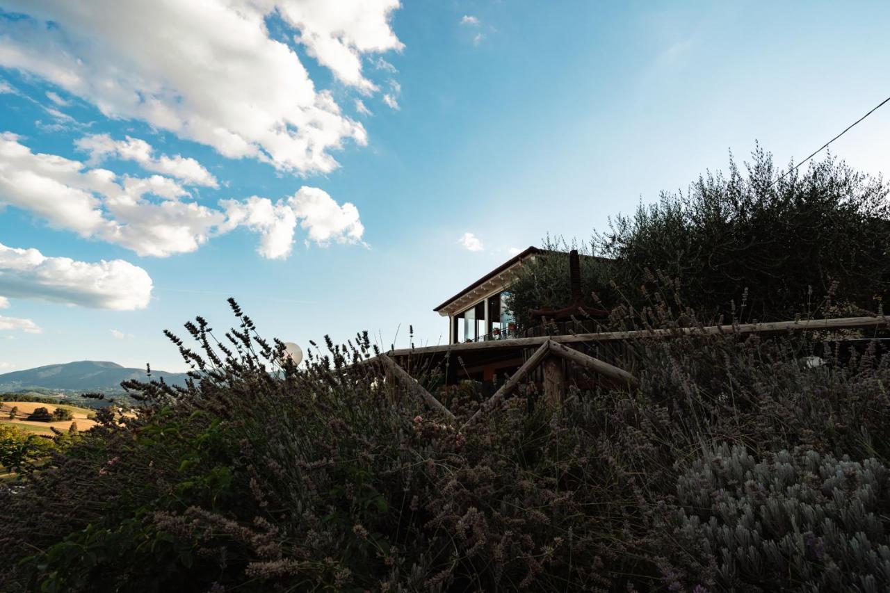 Il Pozzo Country House Collescipoli Bagian luar foto